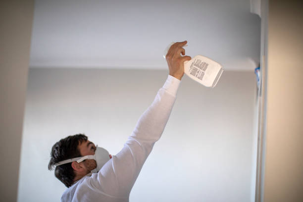 Reliable Crandall, TX Mold Removal Solutions