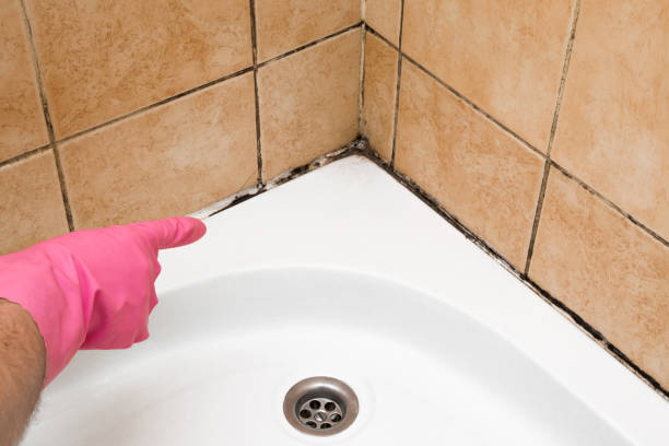 Best Black Mold Removal  in Crandall, TX
